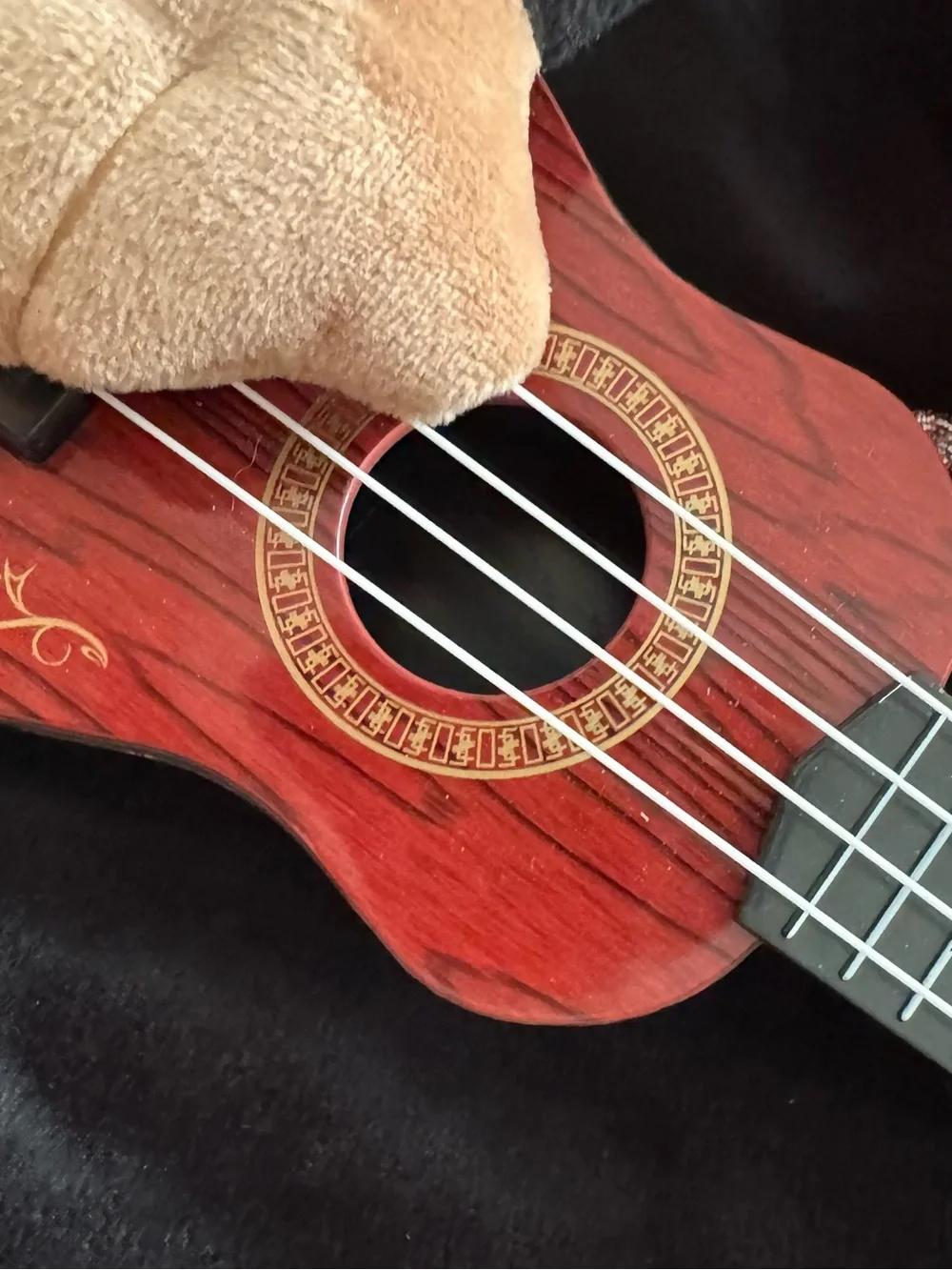 Skull & Bones Mariachi / Musician Dog Costume